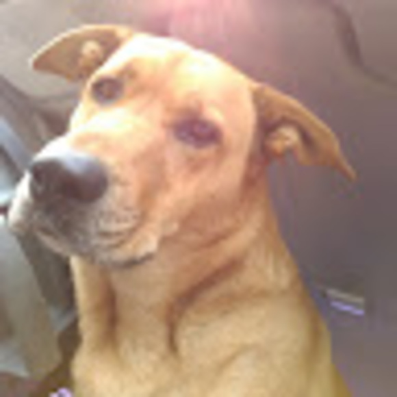 Meet your Posher, Unacceptable - Picture 1 of 1